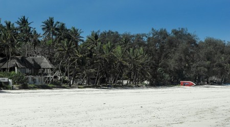 8256164 - Kenia pocztówkowa Kenia