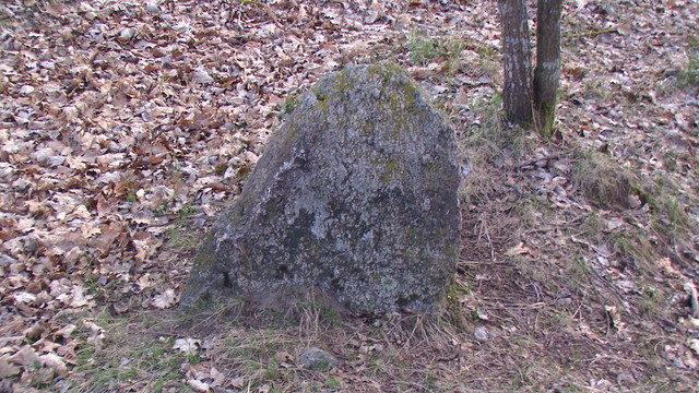 Zapomniany cmentarz choleryczny w lesie Ozierany Małe. Ma 300-400 lat.