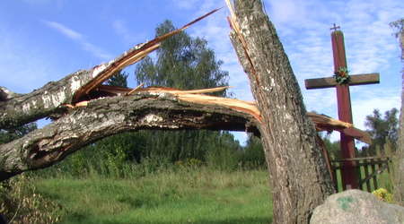 Ozierany Wielkie. Krajobraz po wichurze. – Ozierany Małe, Polska