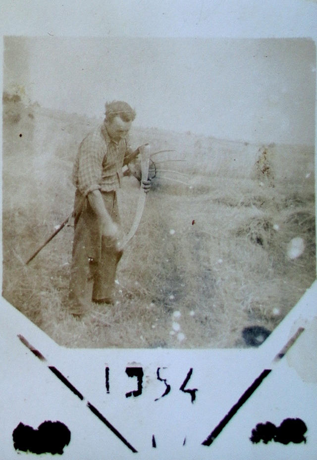 1954