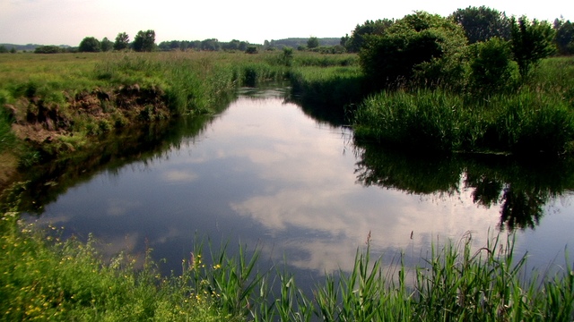 Rzeka graniczna Świsłocz