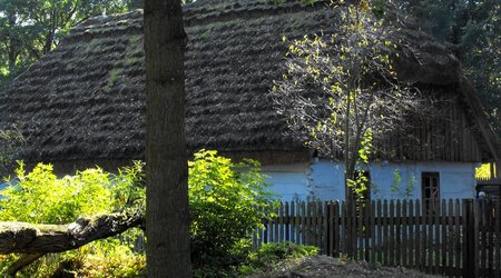 8258182 - Radom Trochę cieplejszych widoków – Polska
