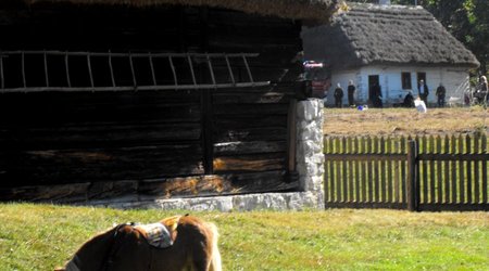 8258198 - Radom Trochę cieplejszych widoków – Polska
