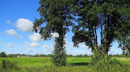 8258381 - Janów Podlaski Janów Podlaski i okolice – Polska