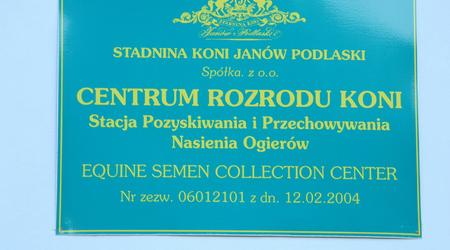 8258669 - Janów Podlaski Wśród najpiękniejszych koni świata – Polska