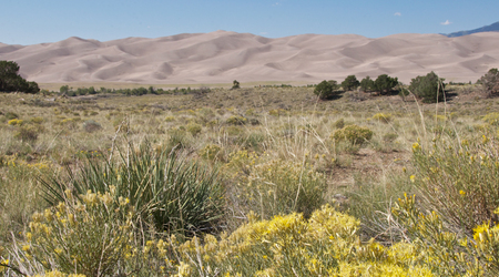 Great Sand Dunes – Nowy Meksyk, Stany Zjednoczone Ameryki
