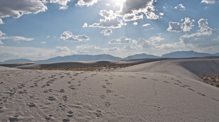 White Sands Nat. Monument – Nowy Meksyk, Stany Zjednoczone Ameryki