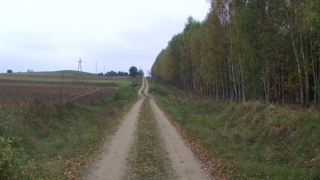 Droga do Białogorc.
