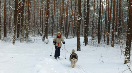 Zaprzęg – Izabelin C, Polska
