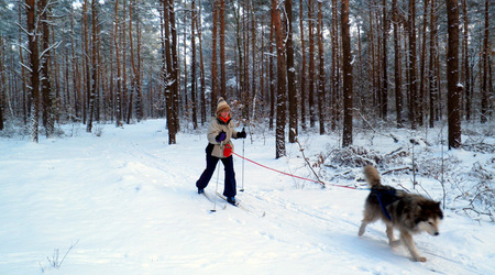 Zaprzęg – Izabelin C, Polska