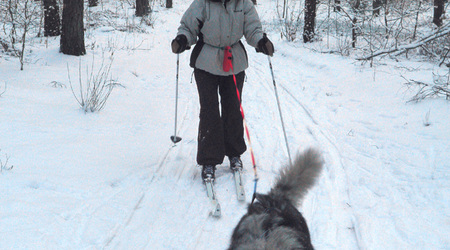 Za Woolem – Izabelin C, Polska
