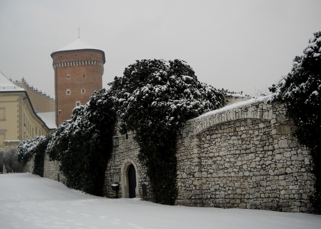 Wawel
