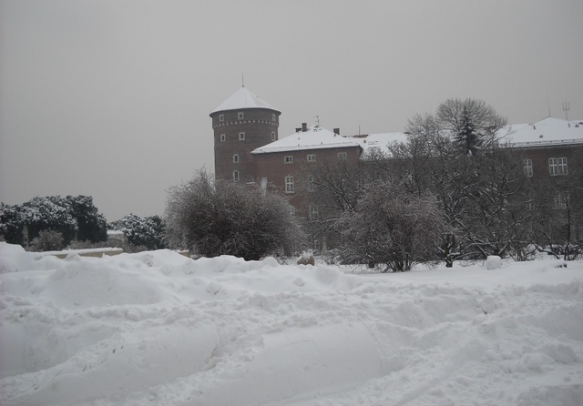 Wawel