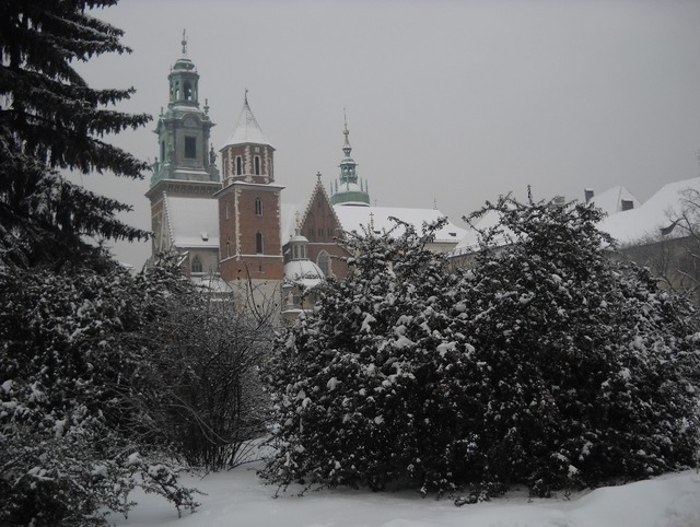 Wawel - widok na katedrę