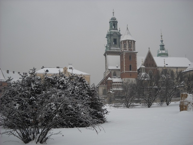 Wawel - widok na katedrę