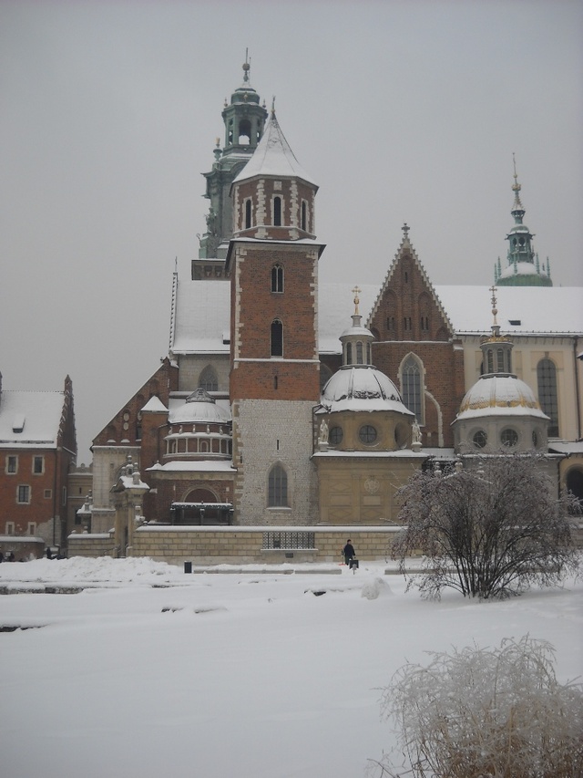 Wawel - widok na katedrę