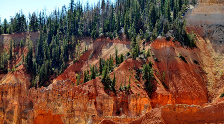 Bryce canyon 15 – Stany Zjednoczone Ameryki