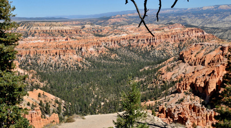 Bryce canyon 20 – Stany Zjednoczone Ameryki