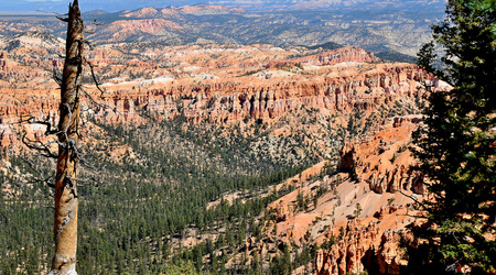 Bryce canyon 21 – Stany Zjednoczone Ameryki
