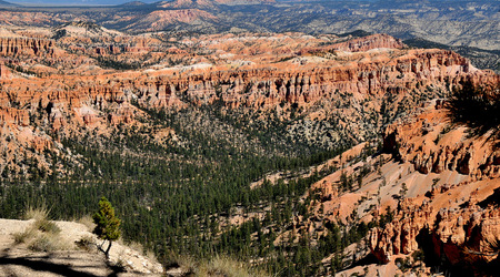 Bryce canyon 22 – Stany Zjednoczone Ameryki