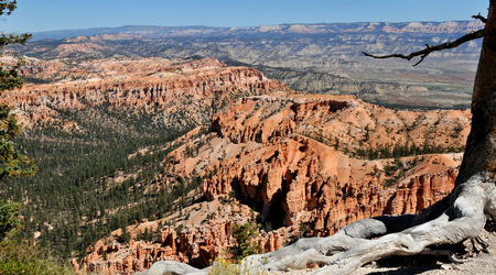 Bryce canyon 23 – Stany Zjednoczone Ameryki