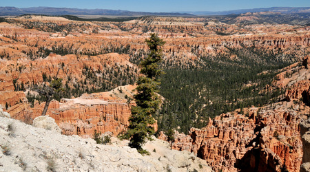 Bryce canyon 24 – Stany Zjednoczone Ameryki