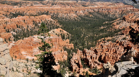 Bryce canyon 25 – Stany Zjednoczone Ameryki