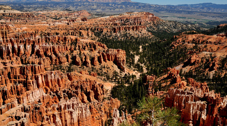 Bryce canyon 27 – Stany Zjednoczone Ameryki