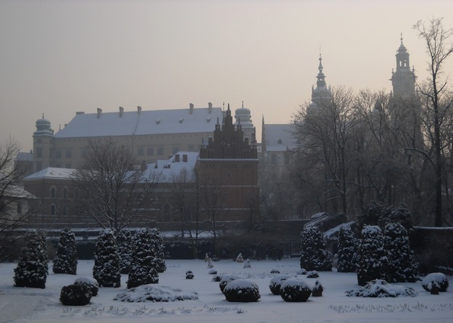 Widok na Wawel