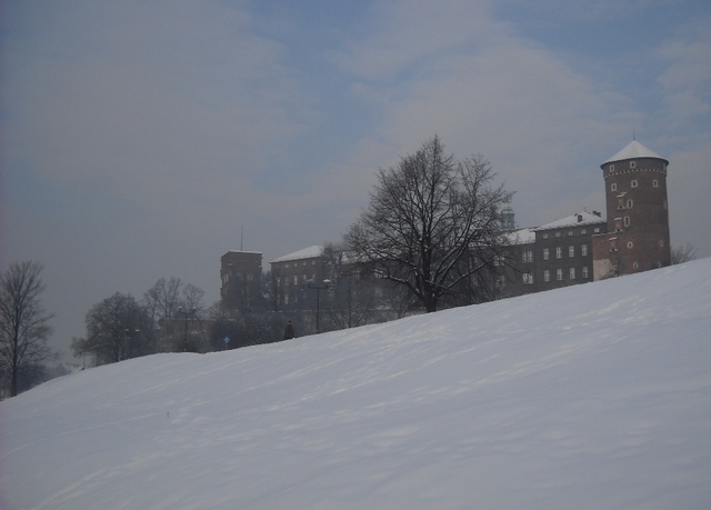 Widok na Wawel