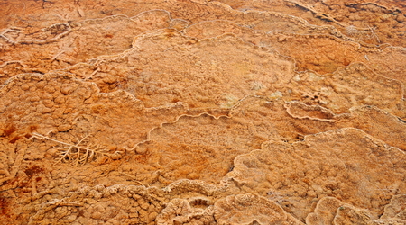Yellowstone 019 – Stany Zjednoczone Ameryki