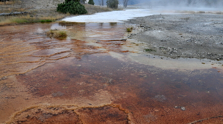 Yellowstone 020 – Stany Zjednoczone Ameryki