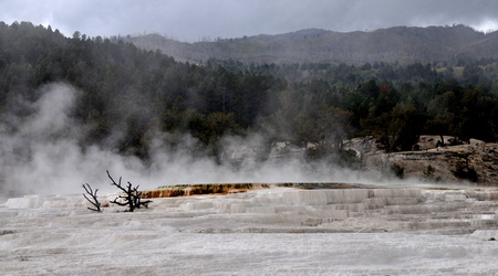 Yellowstone 024 – Stany Zjednoczone Ameryki