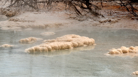 Yellowstone 025 – Stany Zjednoczone Ameryki