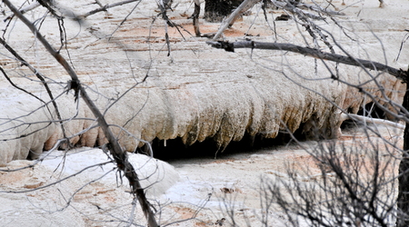 Yellowstone 028 – Stany Zjednoczone Ameryki