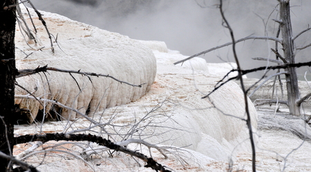 Yellowstone 029 – Stany Zjednoczone Ameryki