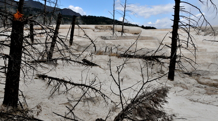 Yellowstone 031 – Stany Zjednoczone Ameryki