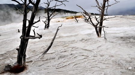 Yellowstone 034 – Stany Zjednoczone Ameryki