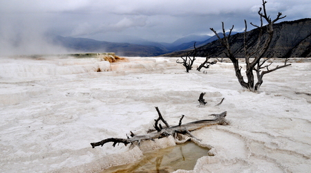 Yellowstone 035 – Stany Zjednoczone Ameryki