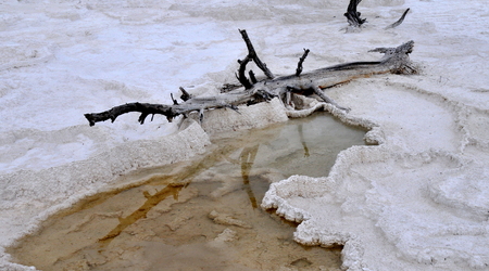 Yellowstone 036 – Stany Zjednoczone Ameryki