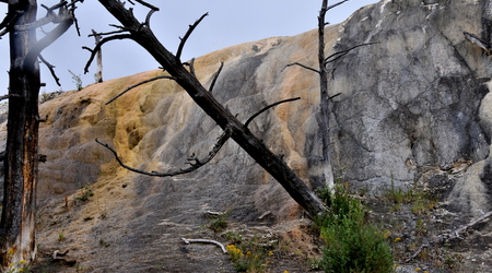 Yellowstone 037 – Stany Zjednoczone Ameryki