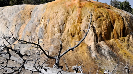 Yellowstone 039 – Stany Zjednoczone Ameryki