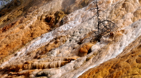 Yellowstone 045 – Stany Zjednoczone Ameryki