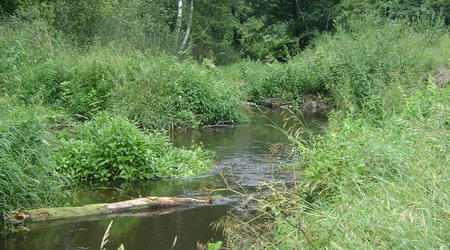 Dsc05831 – Nakielnica, Polska
