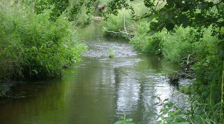 Dsc05833 – Nakielnica, Polska