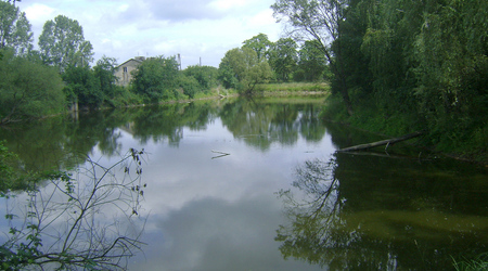 Dsc05853 – Nakielnica, Polska