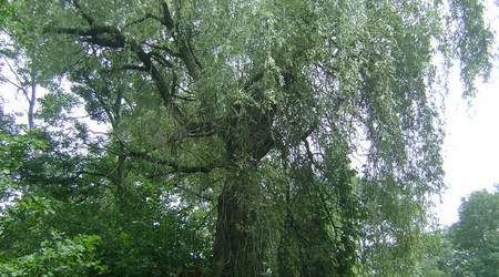 Dsc05854 – Nakielnica, Polska