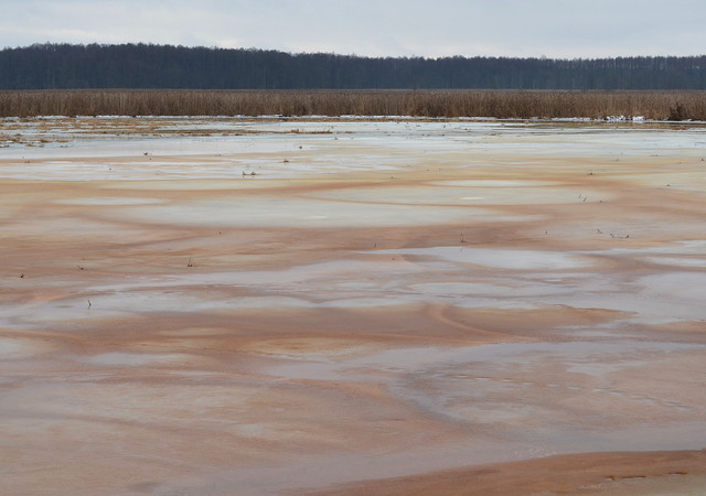 Rozlewisko rzeki Narew 01.02.2013