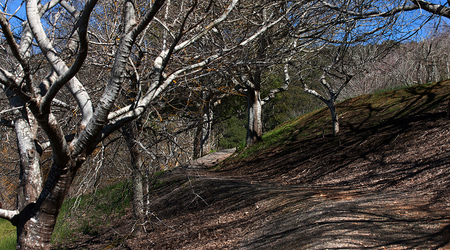 Droga na Mt Lofty – Crafers, Australia