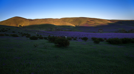 Rapid Valley na Półwyspie Fleurieu – Rapid Bay, Australia